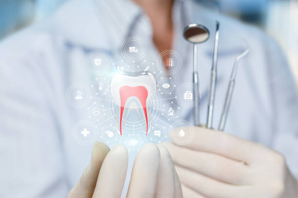 Best Orthodontics  in Willoughby, OH