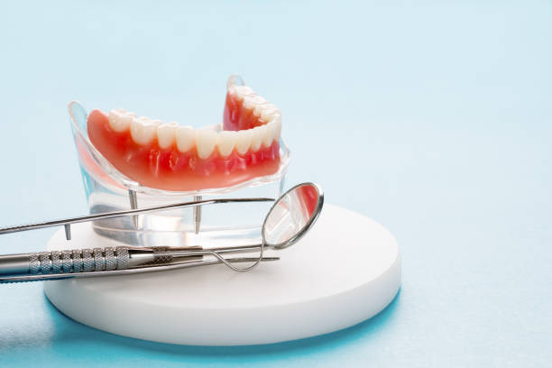 Best Dental Exams and Cleanings  in Willoughby, OH